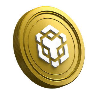 BNB-cryptovaluta op de pagina met de handleiding voor nieuwe traders
